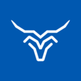 Stabull Finance – Best Upcoming IEO Crypto Logo of 2025 | Trending ICO Project