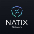 NATIX Network – Best Upcoming Binance Alpha Crypto Logo of 2025 | Trending ICO Project