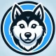 Husky Inu – Best Upcoming Lending & Borrowing Crypto Logo of 2025 | Trending ICO Project